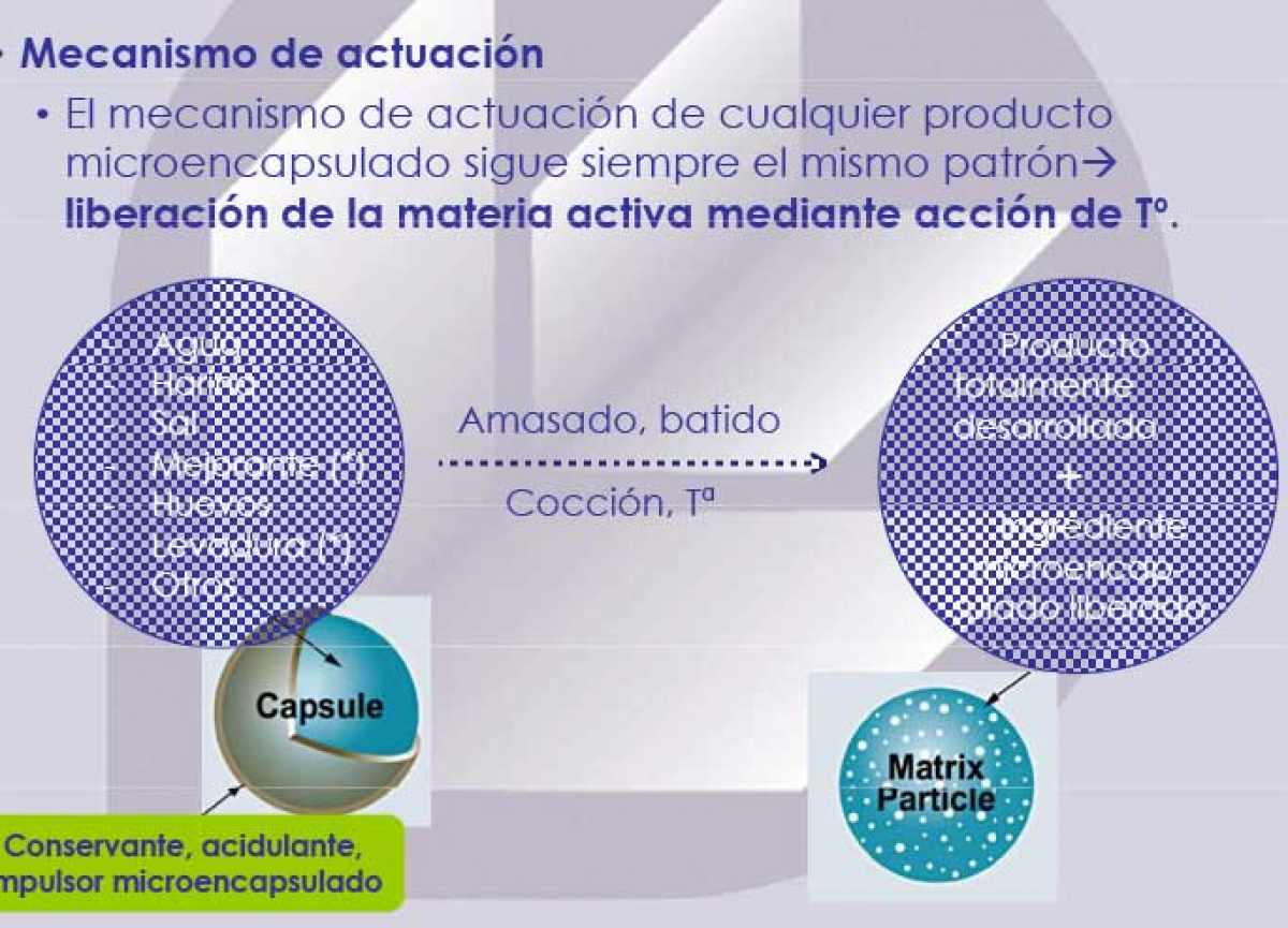 Microencapsulado - Mecanismo de acción